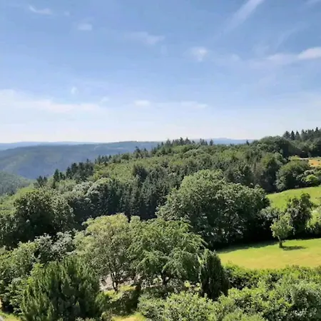 Apartment Ferien In Der Eifel Berg (Ahrweiler)